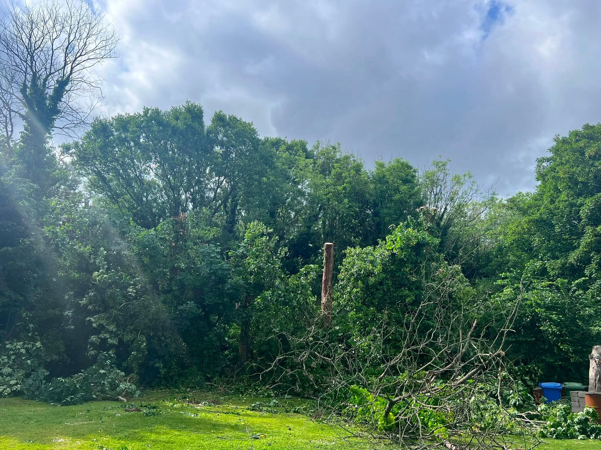 The same treeline with the dead trees taken down, the brash stacked on the lawn ready to be cleared.