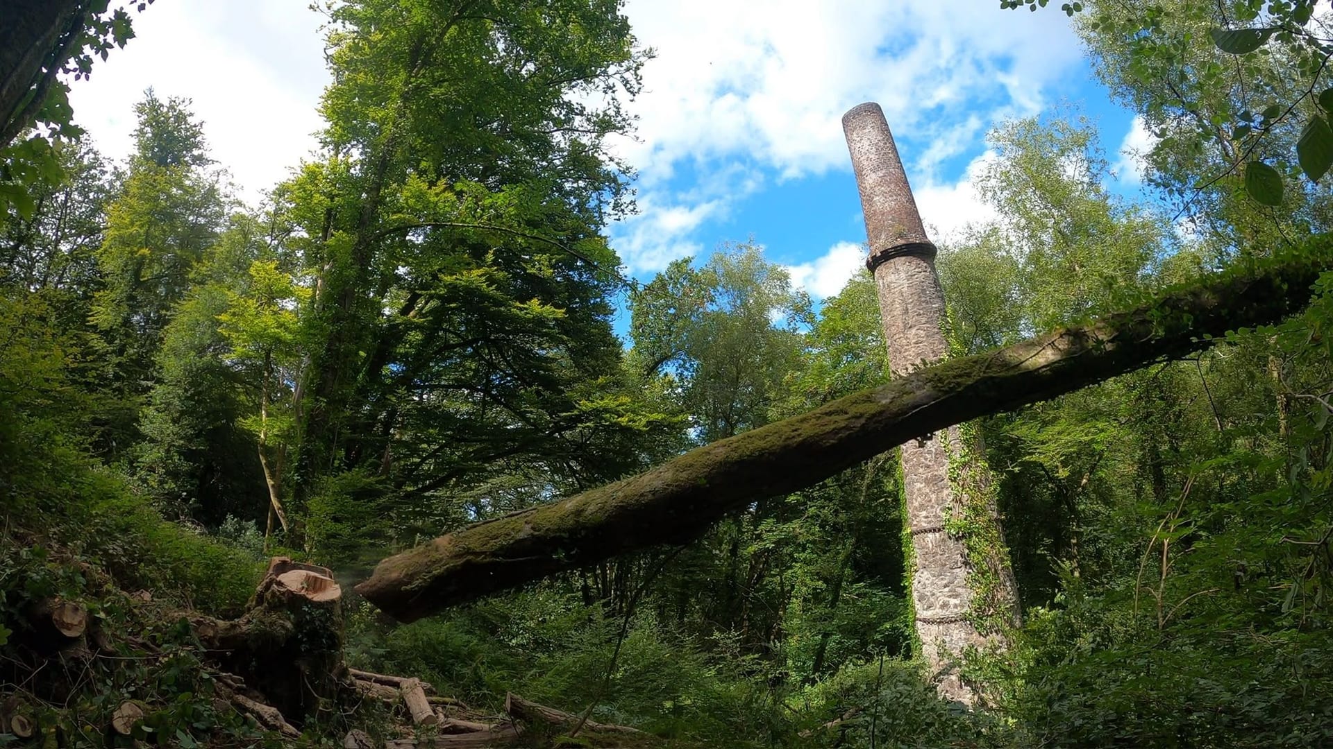The same view with the tree felled and lying across the woodland floor, the mine stack still standing behind.