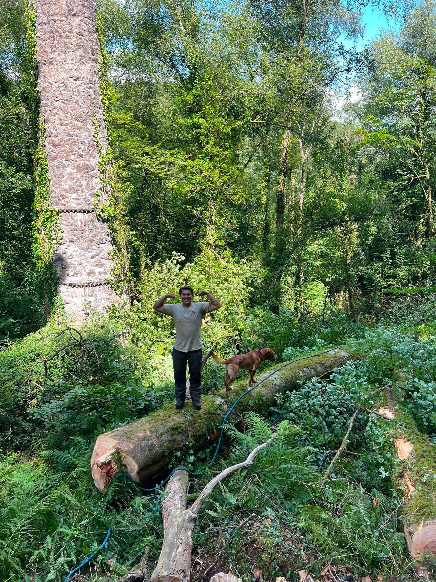 A tree surgeon standing on a felled trunk in woodland with a dog, a ruined mine stack behind him.